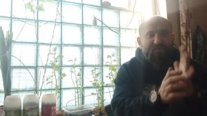 Мой негативный опыт обращения с Композиционными садовыми колышками для растений