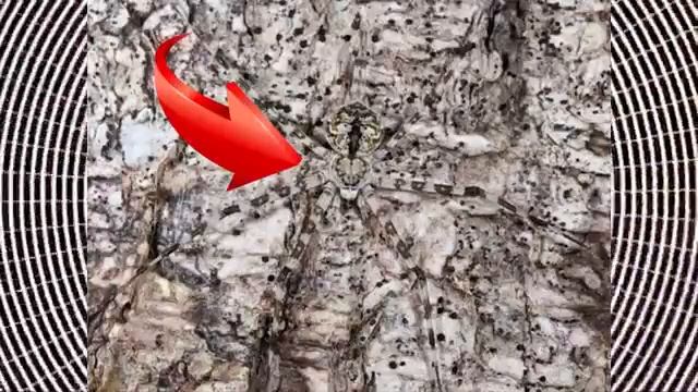 НЕ ВИДИШЬ ЧИСЛО СКОРО ОСЛЕПНЕШЬ смотреть онлайн