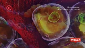 Исследование, о Котором Никто не Говорит Связь музыки и ДНК