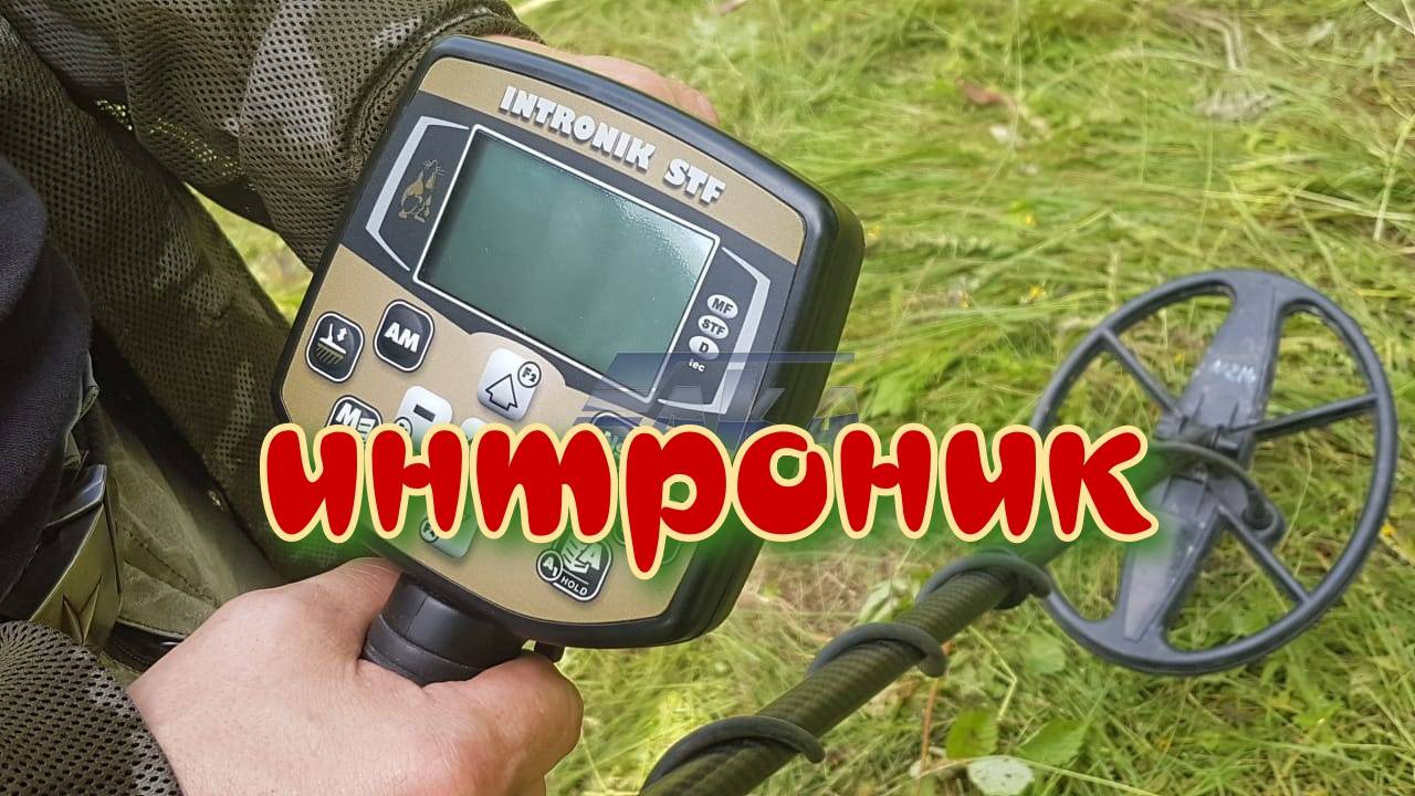 Интроник СТФ