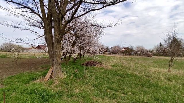 11/04/2022. Температура воздуха +28°С ! смотреть онлайн