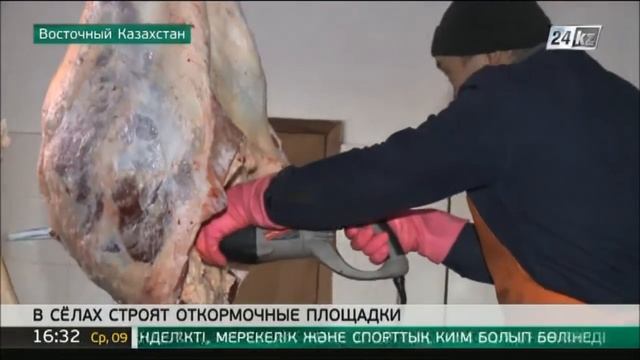 Аграрии ВКО готовы экспортировать мясо в Китай