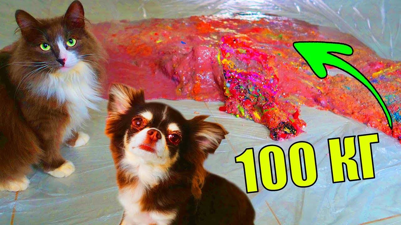 СЛАЙМ 100 КГ ПРОТИВ ПИТОМЦЕВ! УНИЧТОЖИЛИ ЛИЗУН ГИГАНТ КОТОРОМУ ПОЛГОДА смотреть онлайн