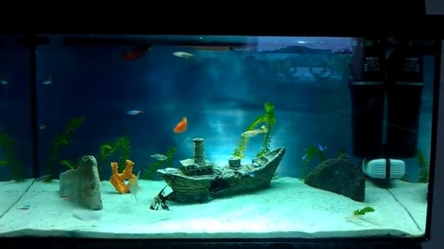 Akvarium 60 liter, n�rmast underh�llsfritt смотреть онлайн