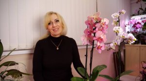 Новые орхидеи с проблемами. Как они... Мокрый ствол бабочки Арт Нуво Была глубокая зачистка ствола