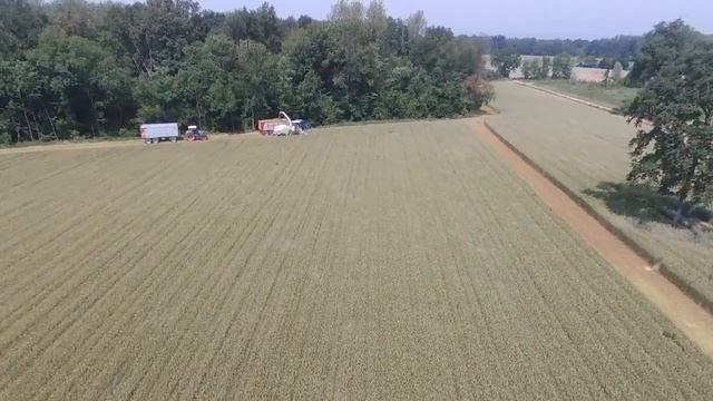 CoopSperanza triticale 2017 смотреть онлайн