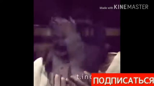 ПРО ЛЮБОВЬ клип ДО СЛЁЗ смотреть онлайн