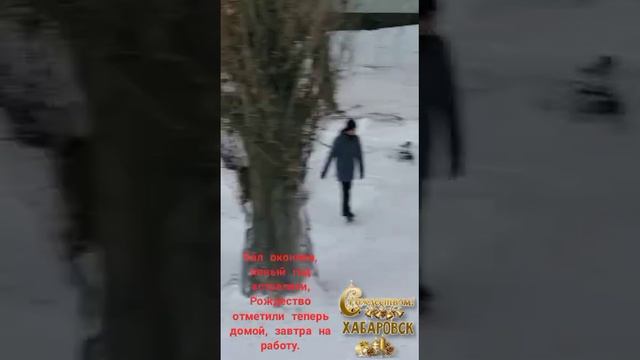 VID_20250110_183654_860.mp4 смотреть онлайн