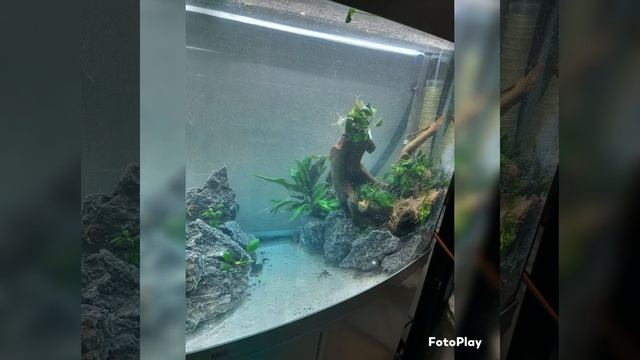Juwel Vision 260 Hardscape смотреть онлайн