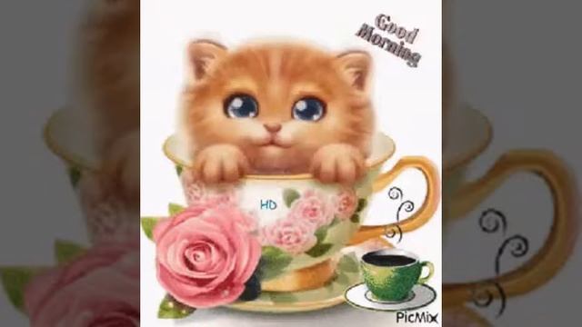 рыжий котик к чашке🌺🍃🍵 смотреть онлайн