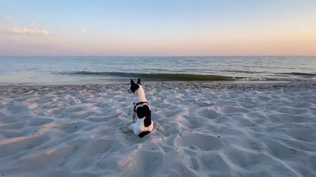 Романтика и море😍 смотреть онлайн