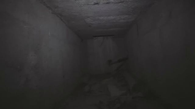 Заброшенная болгаро-советская дружба