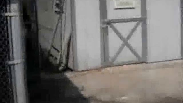 Poultry visit with nanay смотреть онлайн