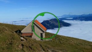 АЛИ САИДОВ - ПАШМАН 2025