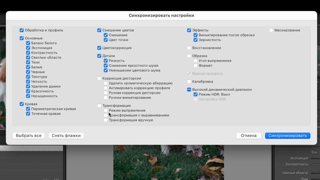 КАК ПРИМЕНИТЬ НАСТРОЙКИ в лайтруме ко всем фотографиям? смотреть онлайн