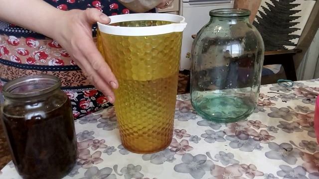 Чайный гриб. Секреты приготовления и уход смотреть онлайн