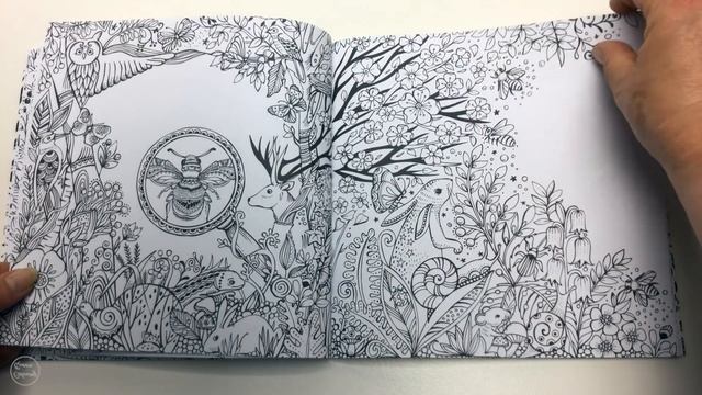 Die Welt Unter Der Lupe Zu Lande Coloring Book Review - Rita Berman смотреть онлайн