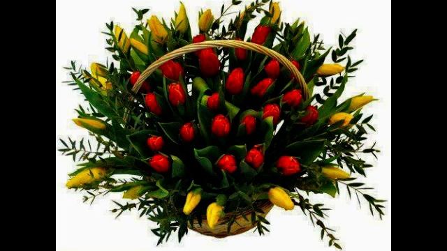 Happy birthday dear Carmen - 26 смотреть онлайн