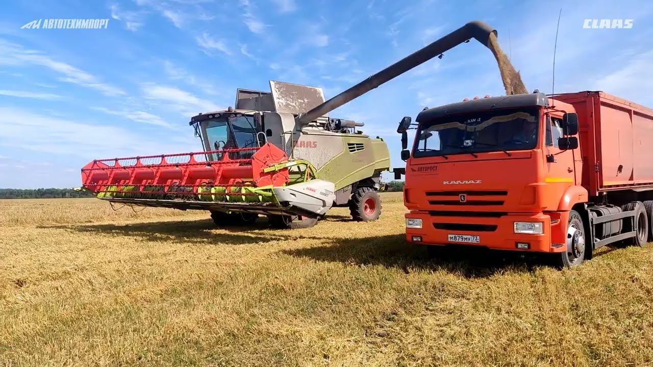 Зерноуборочный комбайн CLAAS TUCANO 580_отзыв о работе смотреть онлайн