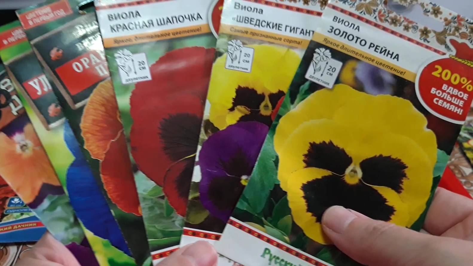 Выращивание виолы из семян для цветения в мае #виола #семена #рассада #цветы #посев #весна #сад смотреть онлайн