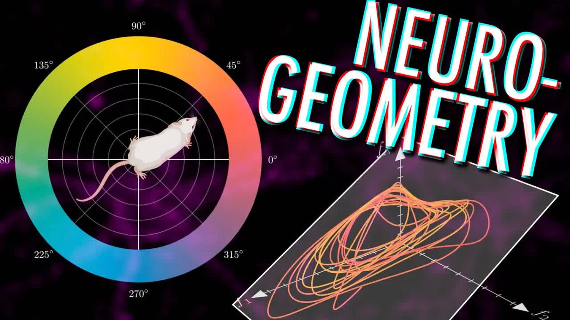 Artem Kirsanov [рус] _ Neural manifolds - The Geometry of Behaviour смотреть онлайн