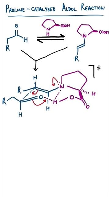Asymmetric Organocatalysis - Proline Aldol смотреть онлайн
