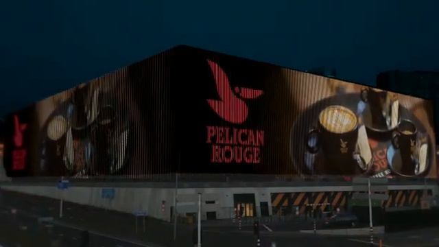 Pelican Rouge bij Ziggo Dome Amsterdam | Selecta ☕️ смотреть онлайн