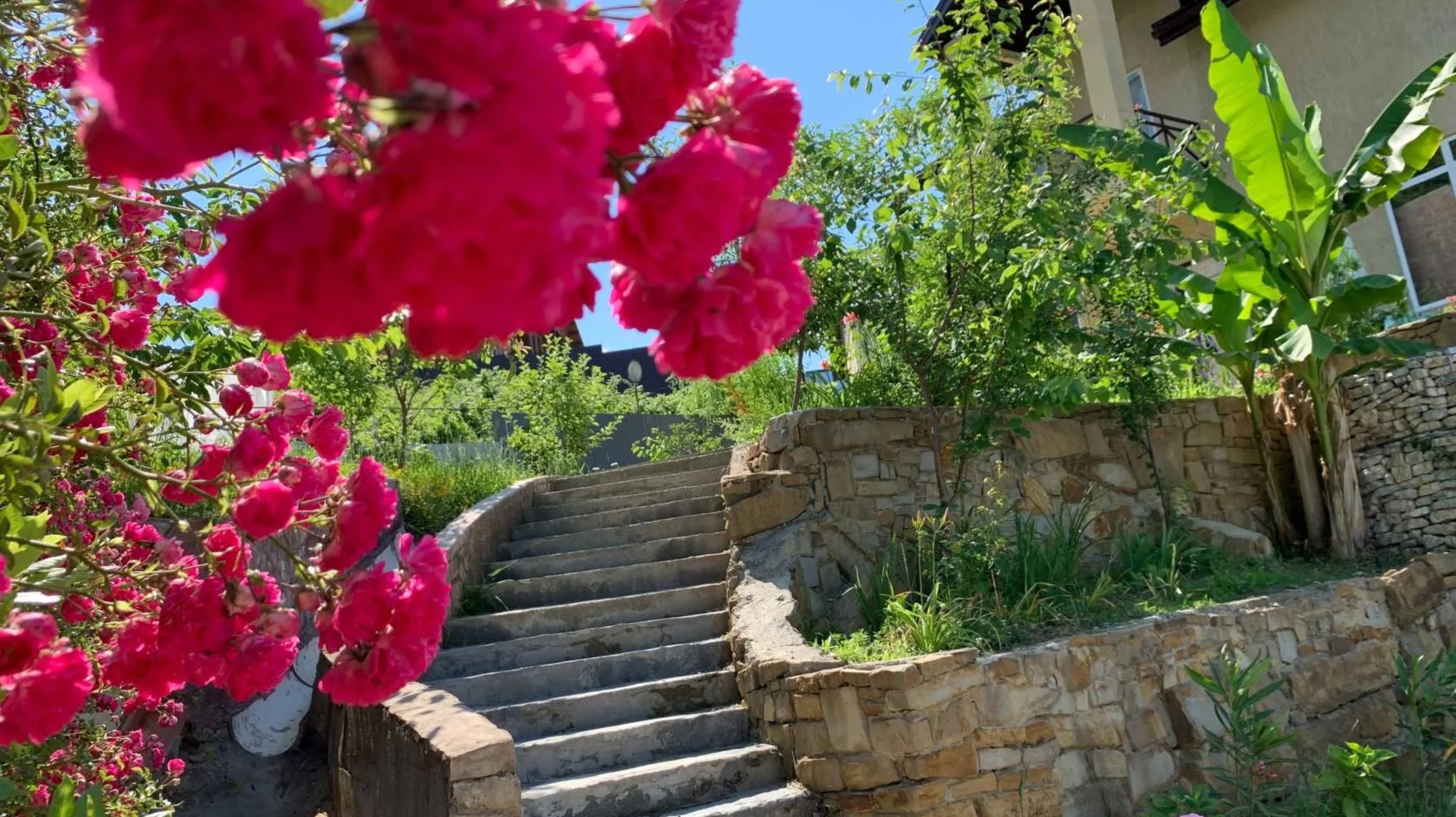 959.🎼. «Summer» - Vladimir Mun смотреть онлайн