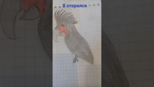 12 февраля 2023 г. смотреть онлайн