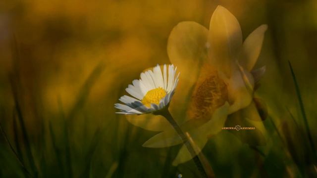 FANTASY - Dmitry Shamaev | Most Amazing Piano Music смотреть онлайн