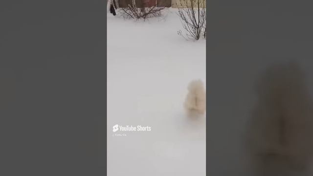 КОЛЬ-ОК смотреть онлайн