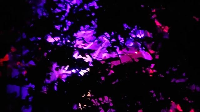 artistic creeping video of the band quasar 30 Oct 2021 смотреть онлайн