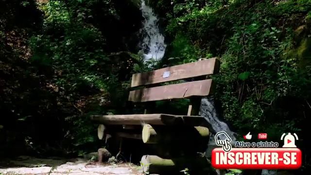 🍂Music for progressive muscle relaxation to sleep 💤 Musica para Relaxamento muscular progressivo😴 смотреть онлайн