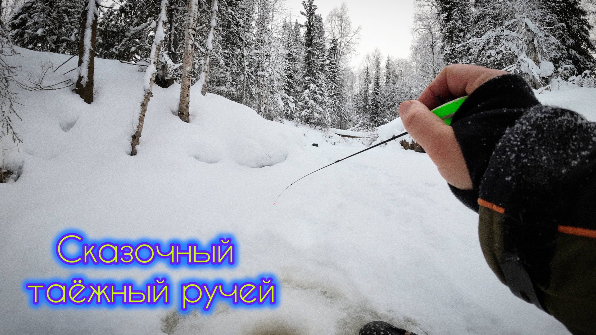 ДУШЕВНАЯ РЫБАЛКА ТАЁЖНЫЙ РУЧЕЙ #чебак #ручей #тайга #рыбалка #сибирь #мохтик #таёжный #елец #fishing смотреть онлайн
