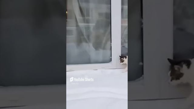 КОЛЬ-ОК (2) смотреть онлайн