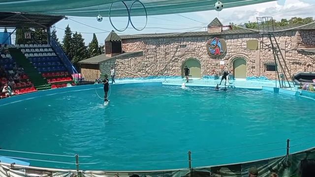 Зрение слабое, нос отсутствует, нет ушей, паразительная эхолокация... смотреть онлайн