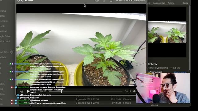 Indoor con BARRA LED da 42 watt - RACCONTO FASE VEGETATIVA смотреть онлайн