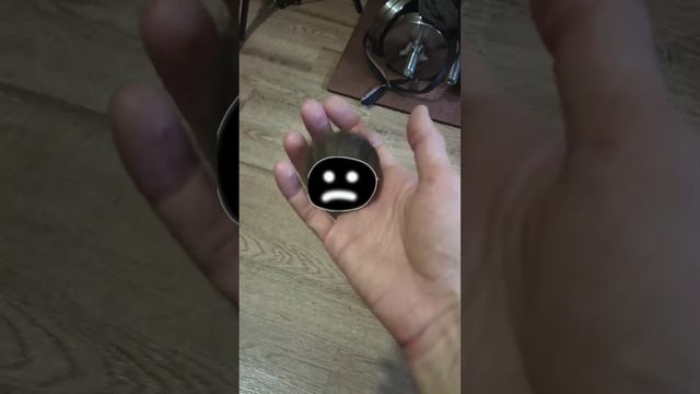 Изгнание пушистика смотреть онлайн