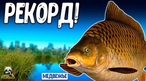 RF4 ТАКОГО КЛЁВА С РЕКОРДОМ И ФАРМОМ ЕЩЕ НЕ БЫЛО #рр4