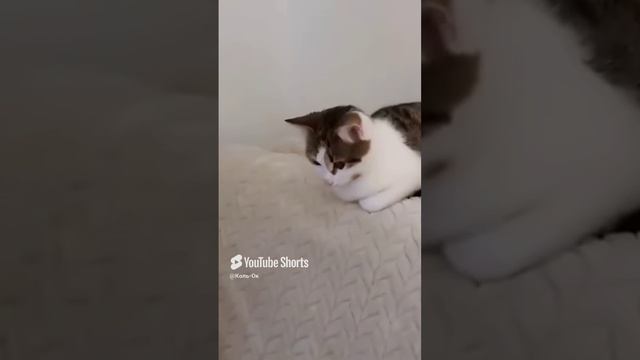 КОЛЬ-ОК (10) смотреть онлайн