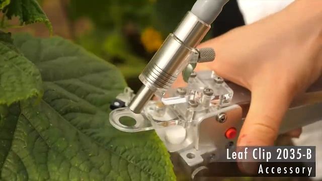 Видеообзор импульсного флуориметра WALZ MINI-PAM II (07-2021) смотреть онлайн