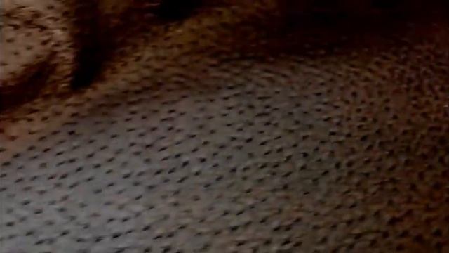 Emu color Espresso faux leather vinyl fabric смотреть онлайн