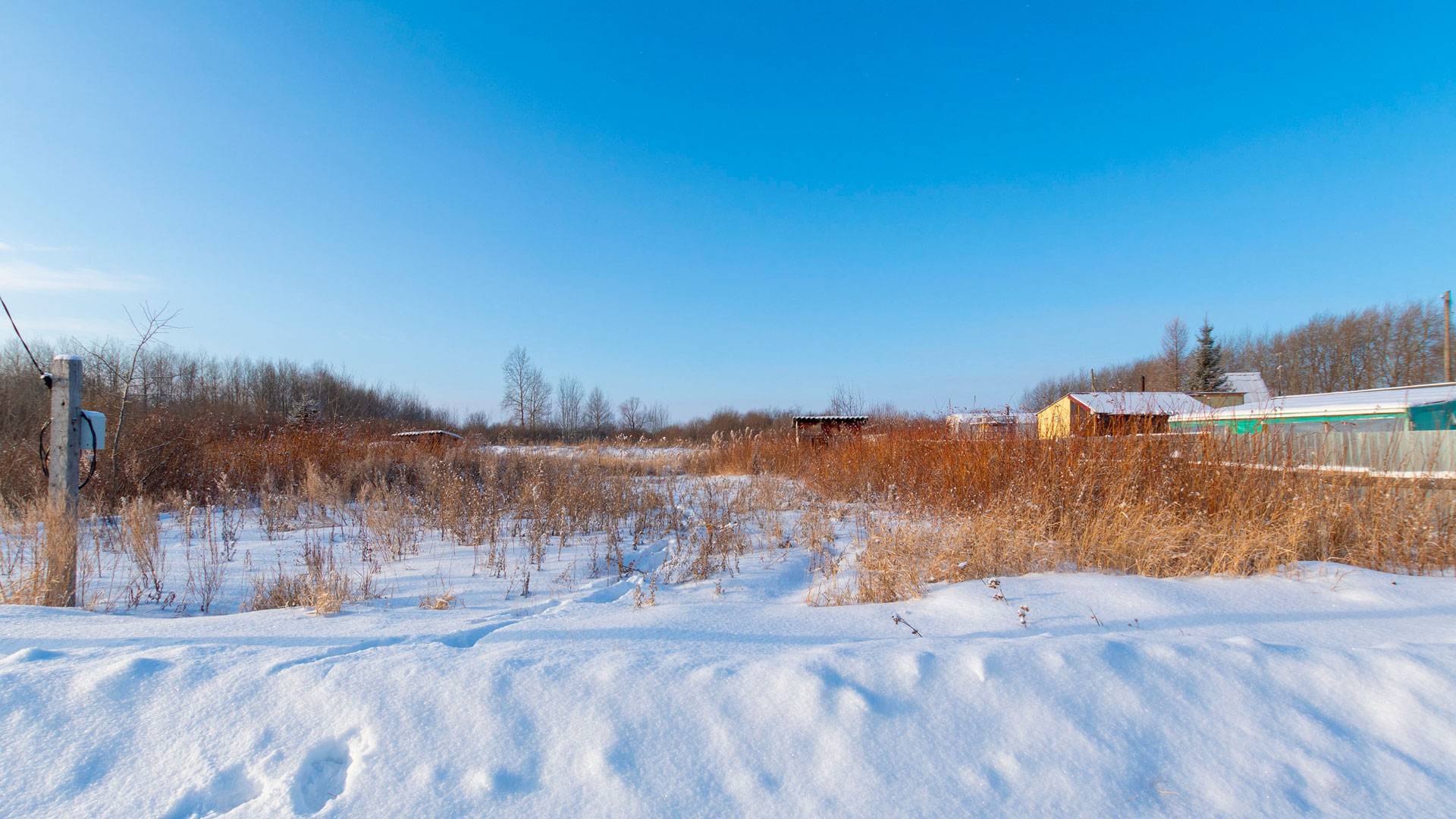 4355046 смотреть онлайн