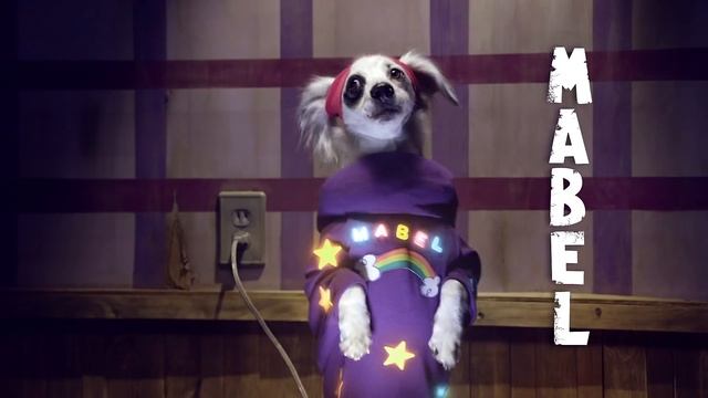 Gravity Paws - Opening Theme Song - HD смотреть онлайн