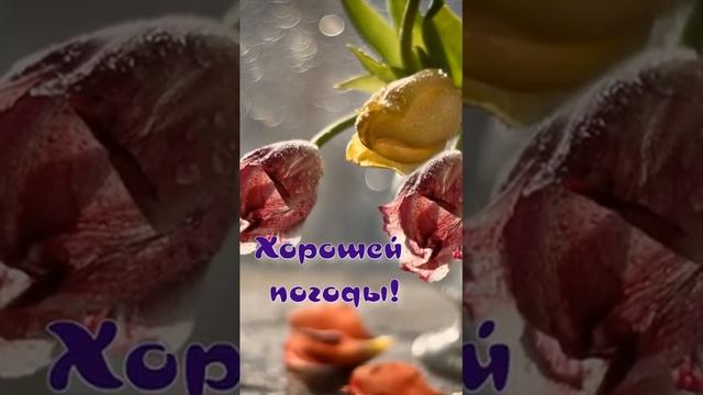 С Добрым ВЕСЕННИМ УТРОМ !!!😉 смотреть онлайн