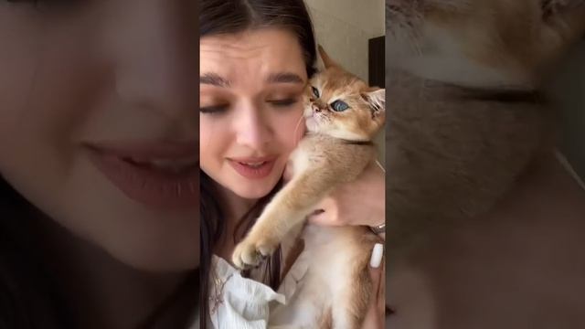 А начиналось так красиво…