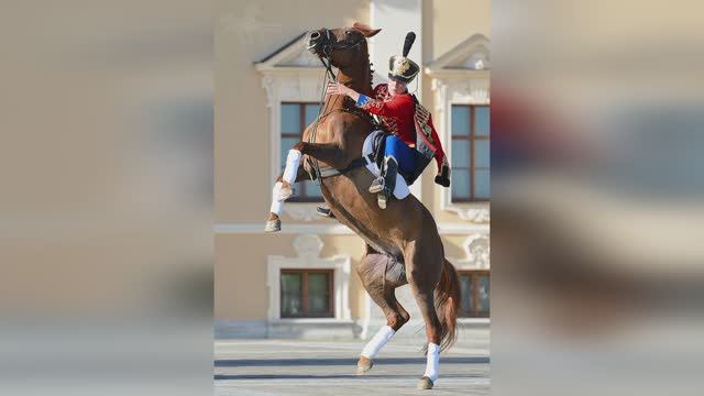 Рыжий конь смотреть онлайн