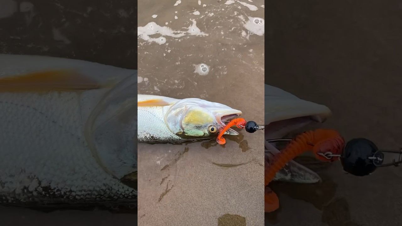 Одиночный сплав по р. Амур 400 км от Хабаровска до Комсомольска на надувной байдарке. Первый улов