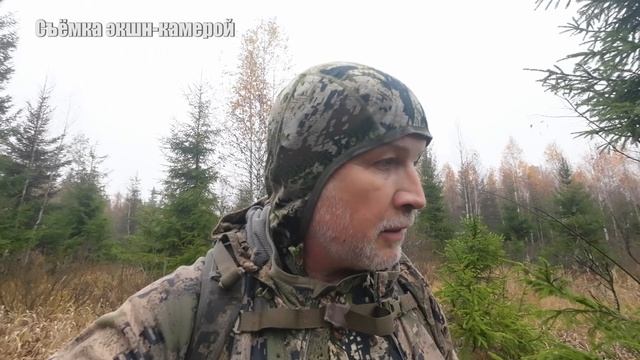 Охота на лося C подхода с норрботтенским шпицем (маленькой шведской лайкой)