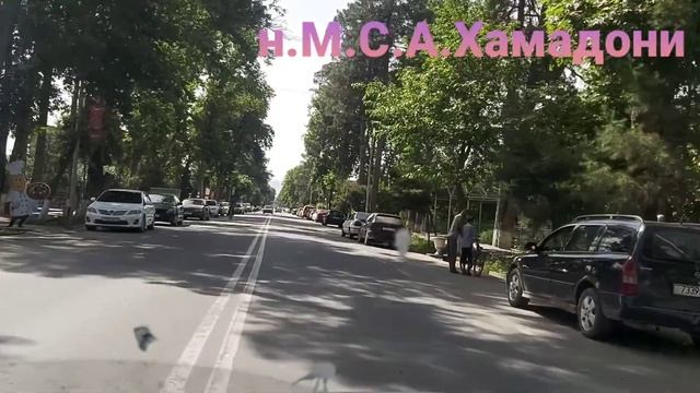 ХАМАДОНИ 25.05.2022